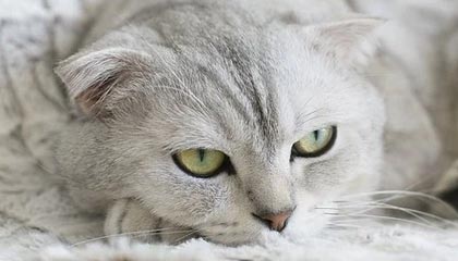 常州队终于迎来首球+首胜，蕞红啦啦队为常州队跳起胜利之舞